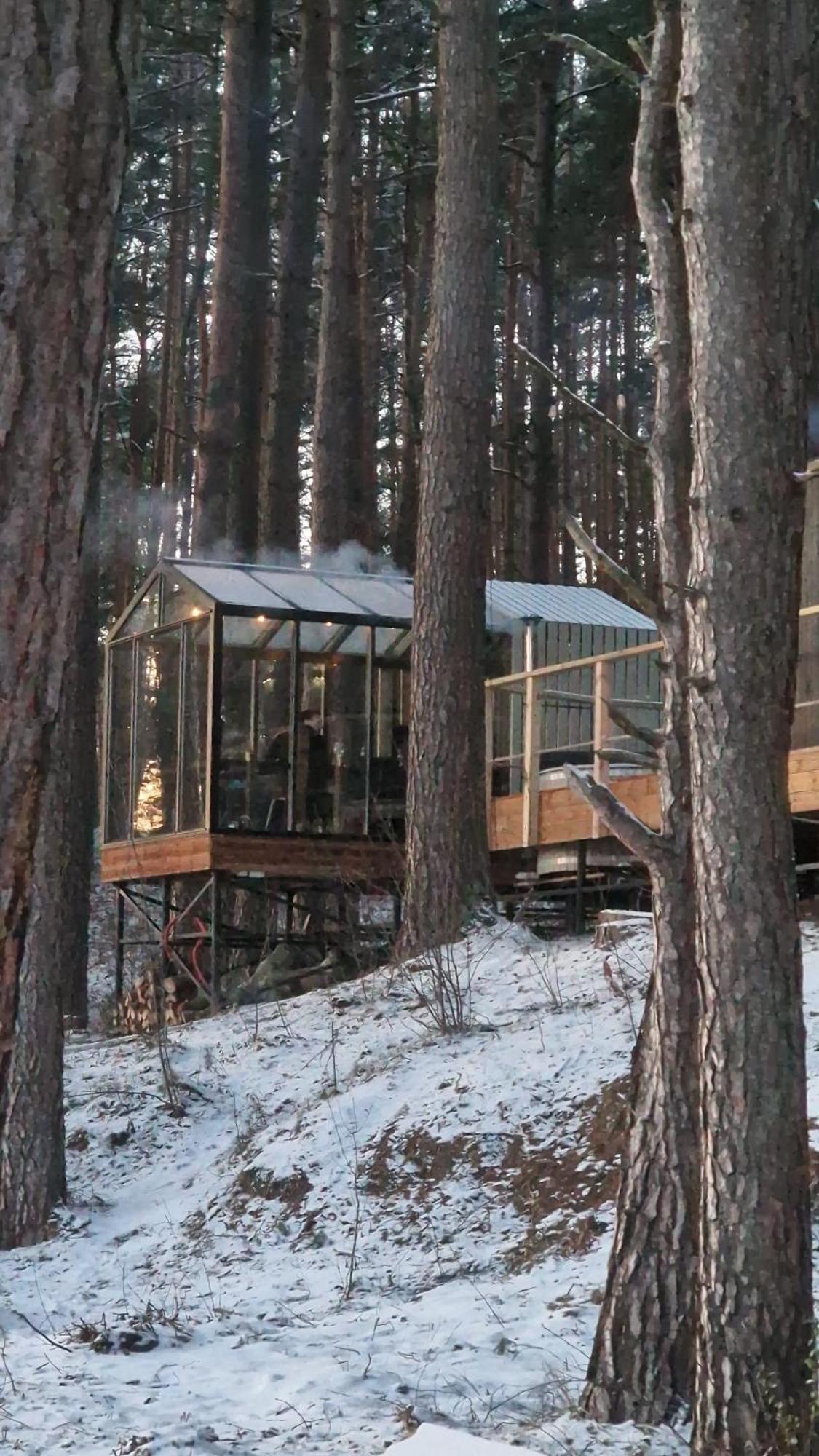 Gaujaclub - Our Bose And Bang&Olufsen Lofts On A Lake Gauja  Exterior foto